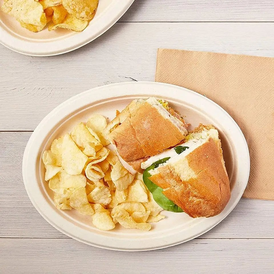 Compostable 6 8 9 10 Inch Custom or Inch Biodegradable Sugarcane Bagasse Pulp Paper Plates