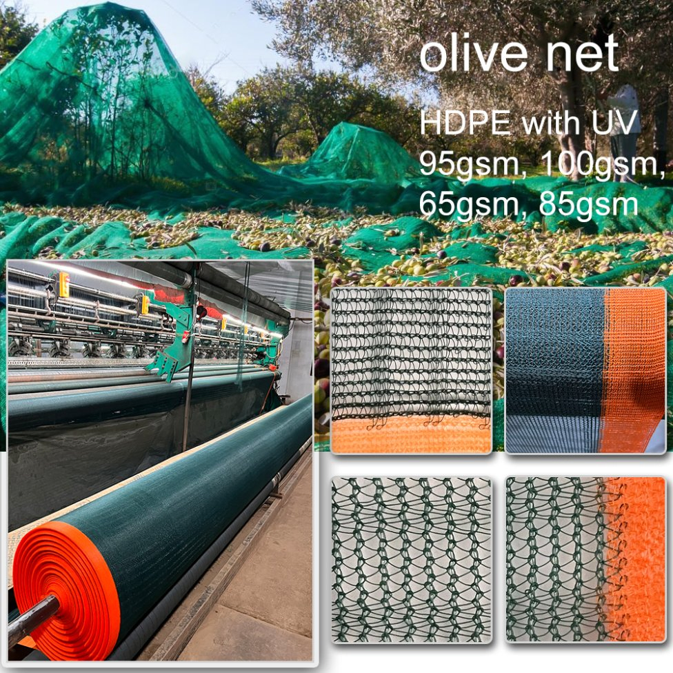 90GSM 6X12m Green Olive Mesh Olive Net with Reinforced Tarps