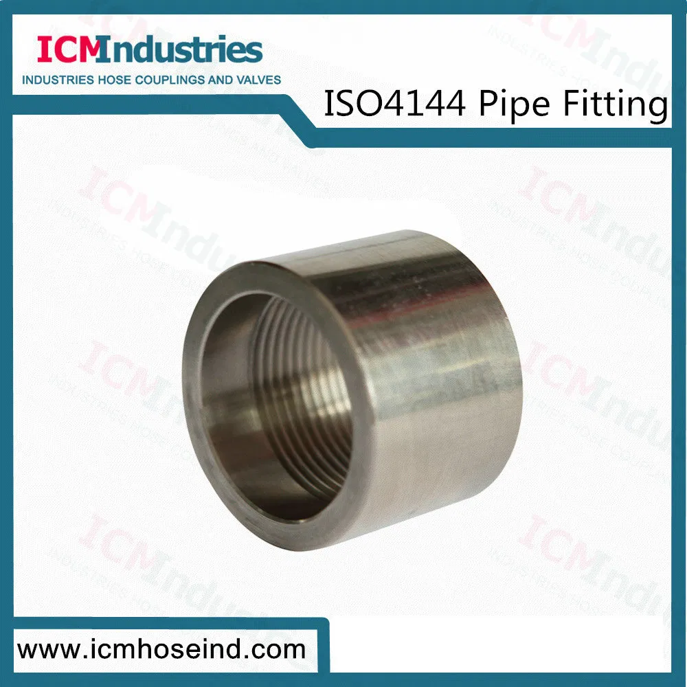Stainless Steel Hex Bushing Threaded Fittings/ISO 4144 Pipe Fitting