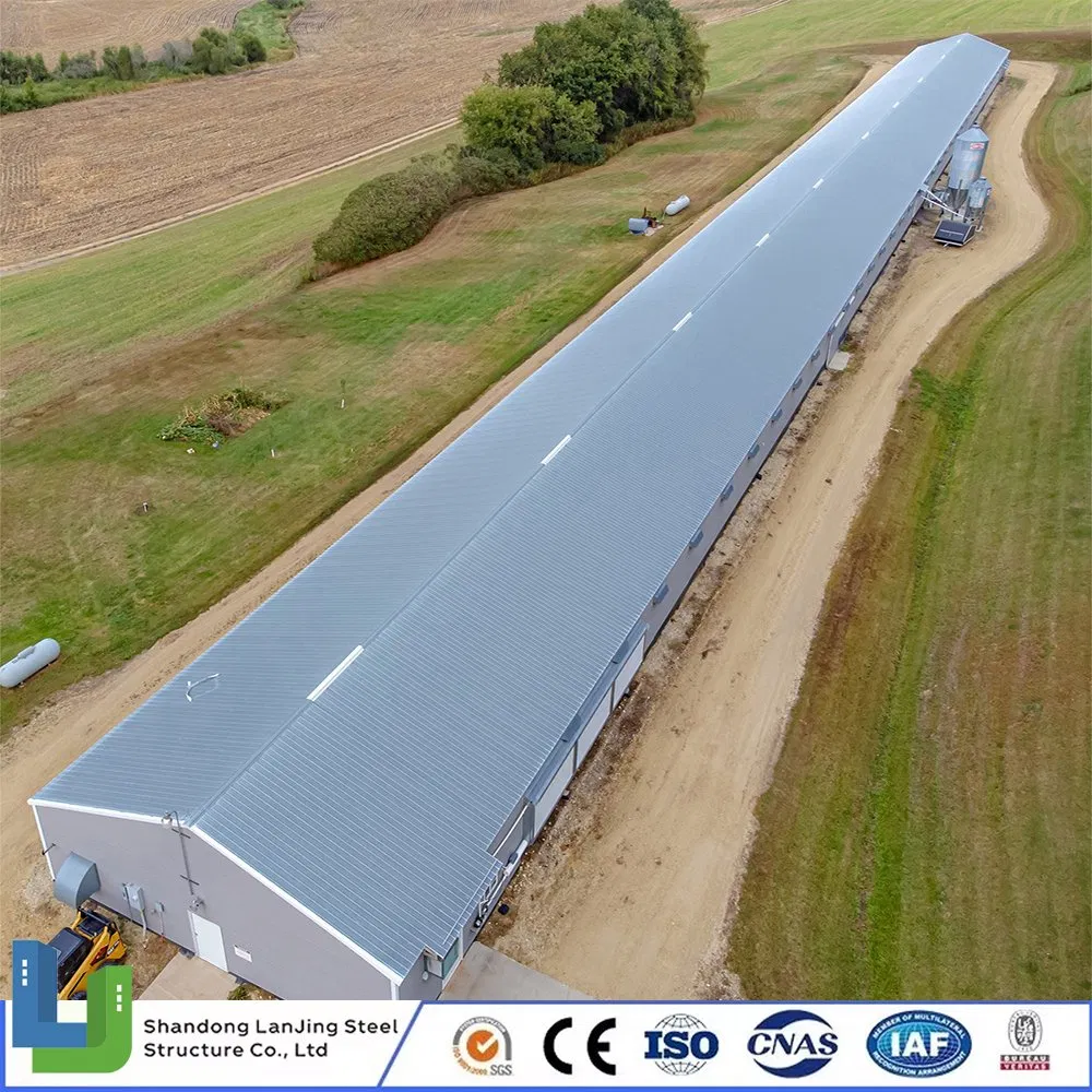 Steel Structure Layer Egg Chicken Broiler Poultry House Prefabricated Building for Ethiopia/Uganda/Zimbabwe