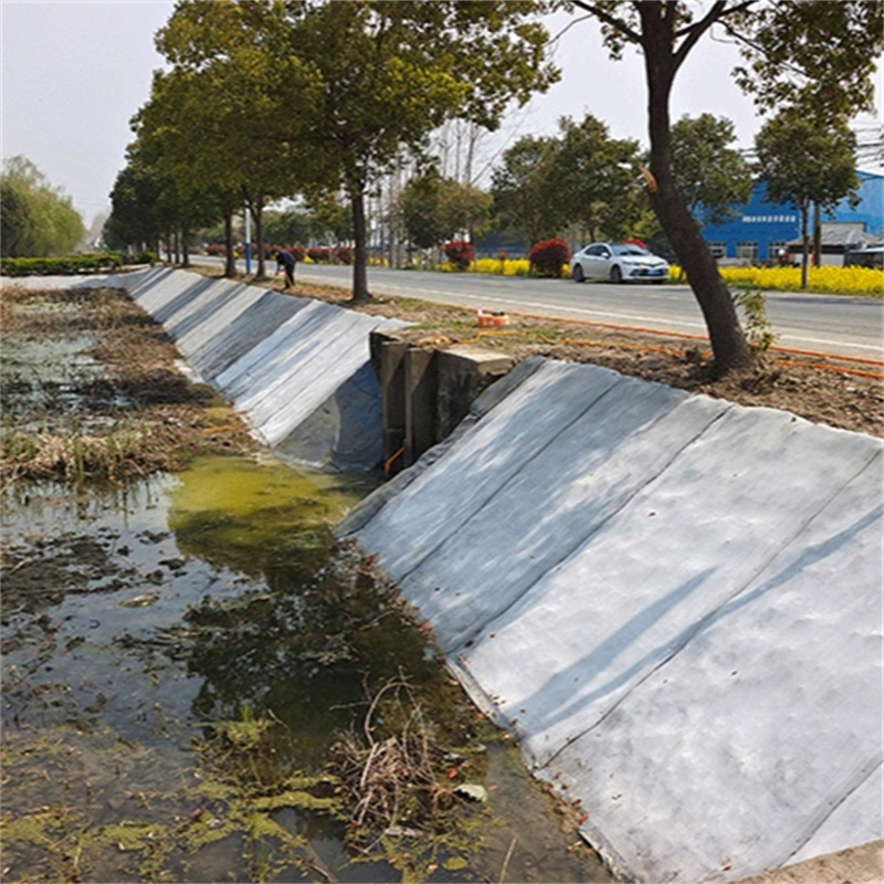 Slope Protection: Reinforced Cement Material