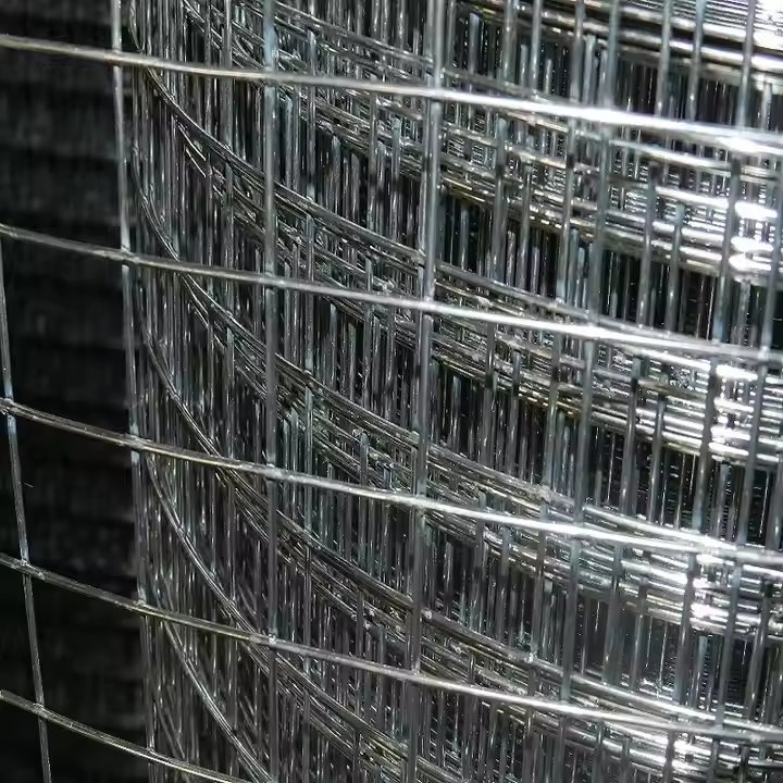 Stainless Steel/PVC Coated/Hot Galvanized Wire Welded Mesh