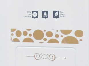 Flue Type Gas Water Heater 6-16 Liter Jsd-605