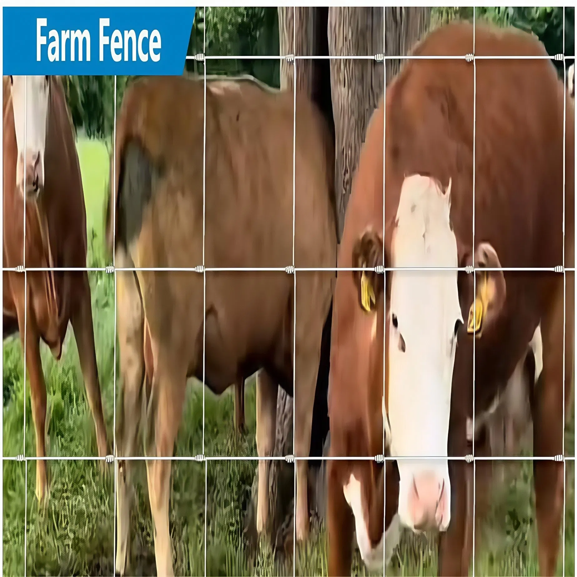 4 Feet Farm Fence Roll Horse Sheep Goat Cattle Cow & Pig Wire Mesh Welded Square Hole