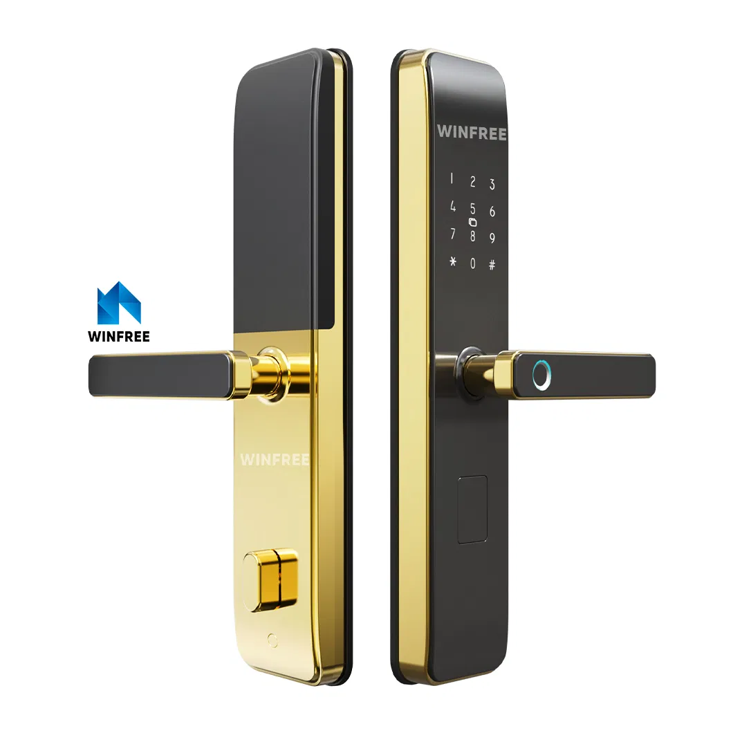 Fashion Design Security Door Electronic Fingerprint Digital Smart Door Locks for Doors