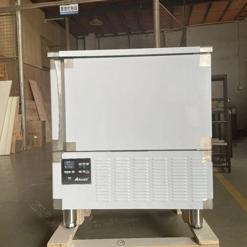 Professional Customizable Fast Chilling 304 Stainless Steel Upright Refrigerator Blast Freezer