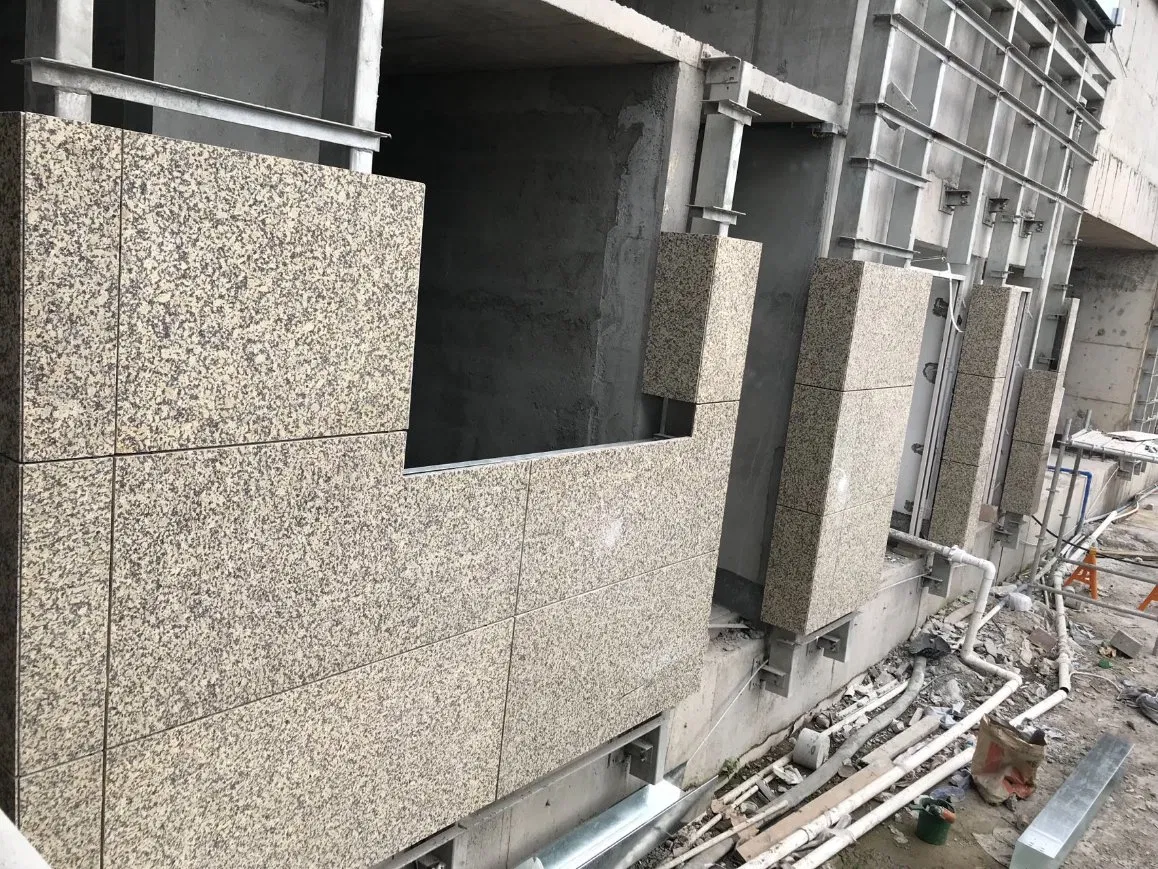 Wayon Stone Hot Selling Brazilian Natural White Granite Stone Slabs Taj Mahal White Quartzite