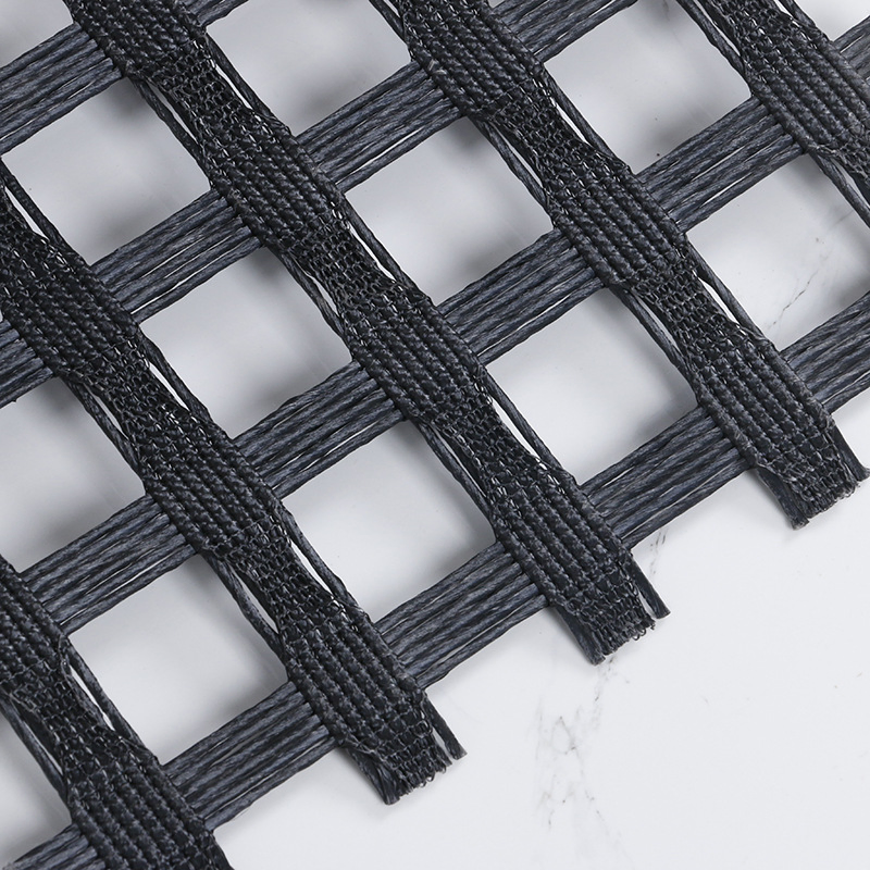 Plastic PP Unidirectional Geogrid Bidirectional Geogrid Factory Price PP/Pet/EVA/HDPE/LDPE/ISO
