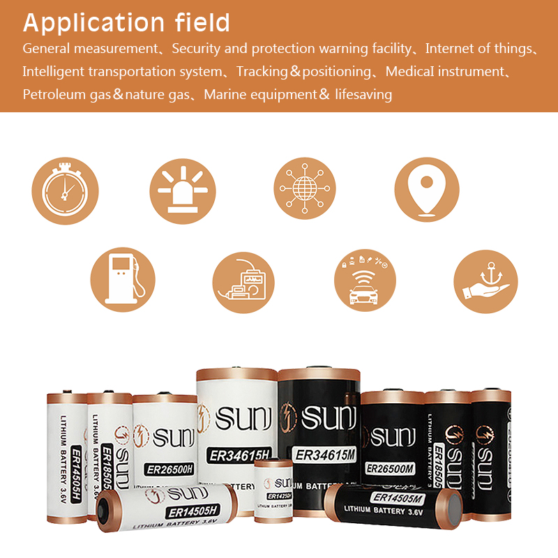 Factory Direct Supply 3.6V 1200mAh Er14250h Lithium Primary Battery Cell