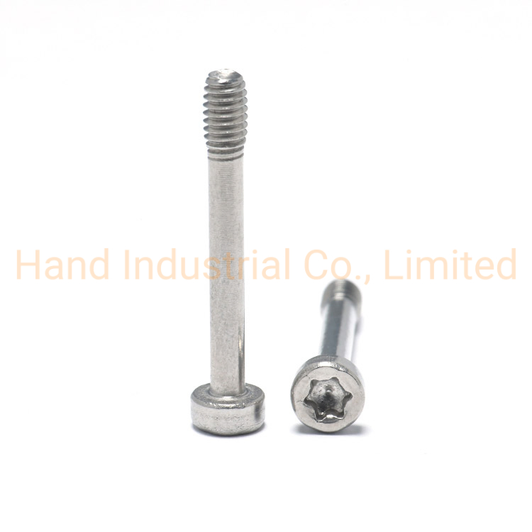 Factory Direct Sale Stainless Steel 304 / 316 Torx Pan Head Captive Screws