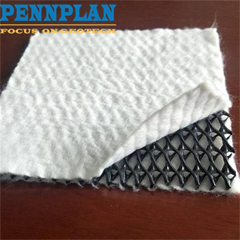 High Strength 3D Composite Drainage Geo Net Composite Dewatering Net