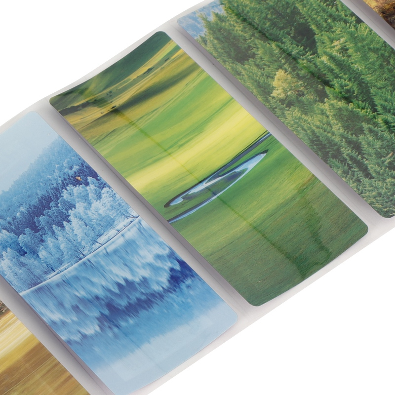 Double Sticker Label Matt Lamination Varnish Adhesive Label for Product Packaging