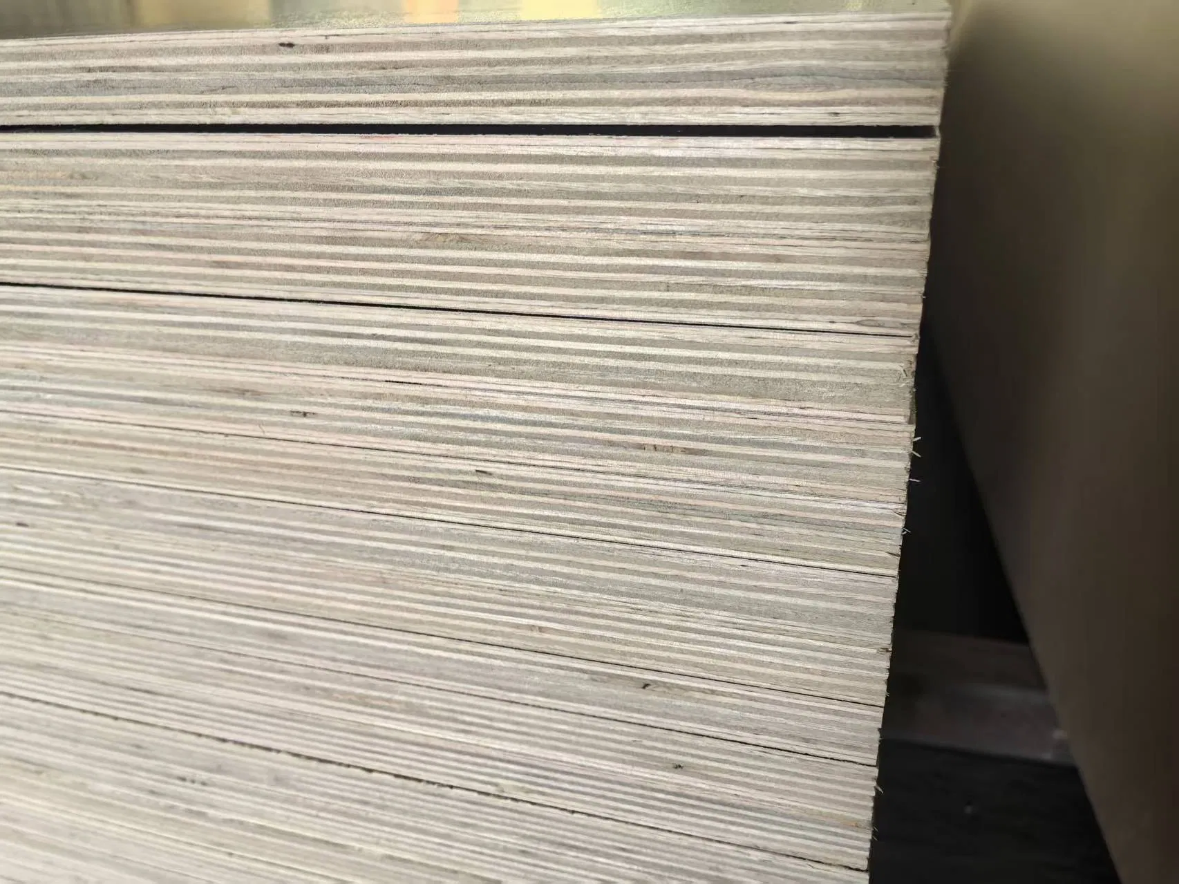 Radiata Pine Plywood Phenolic Glue