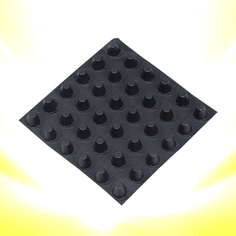 Factory Customizedwaterproofing Membrane Drainage Board/Dimple Board for Landfill
