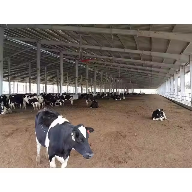 Large Capacity Modern Poultry Farm Steel Structure Animal House Layer/Broiler Chicken Coop Building for Automatic Battery Cage
