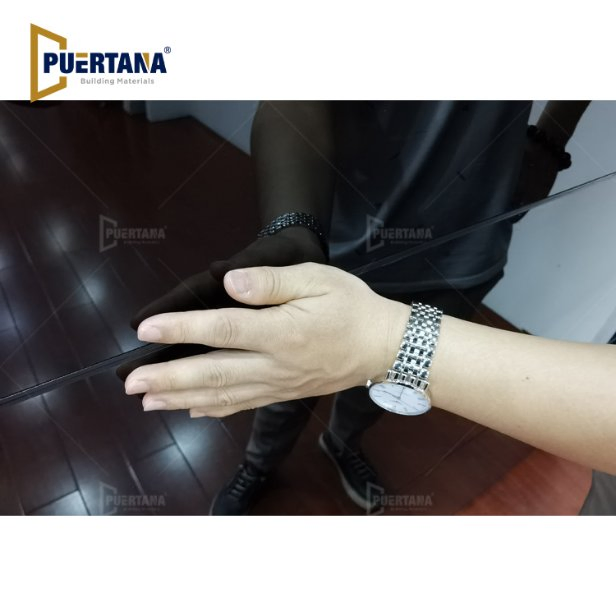 Fancy Frameless Mirror Tempered Glass Garage Door for Sale