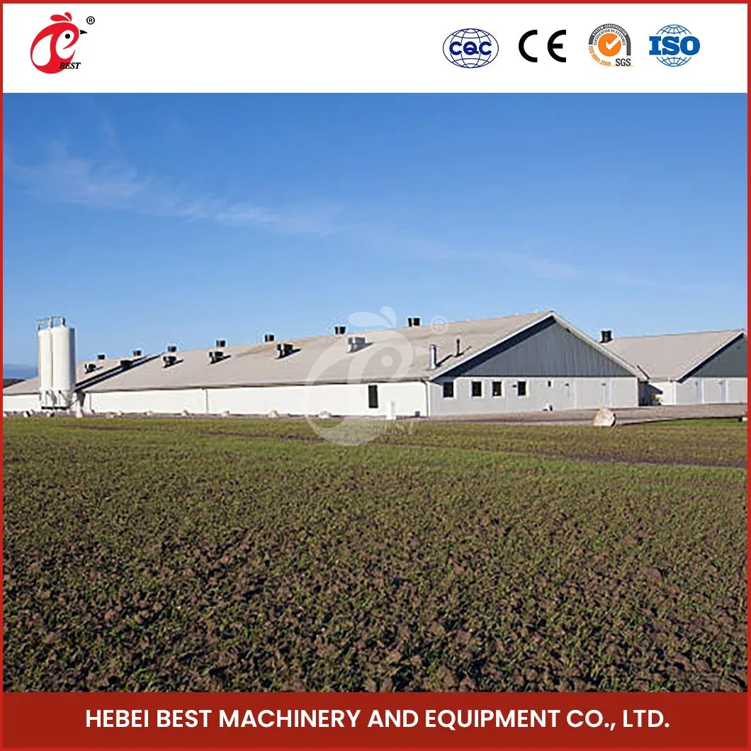 Bestchickencage Steel Poultry House China Automatic Steel Poultry Cages Supplier OEM Customized Prefabricated Steel Structure Chicken Broiler House