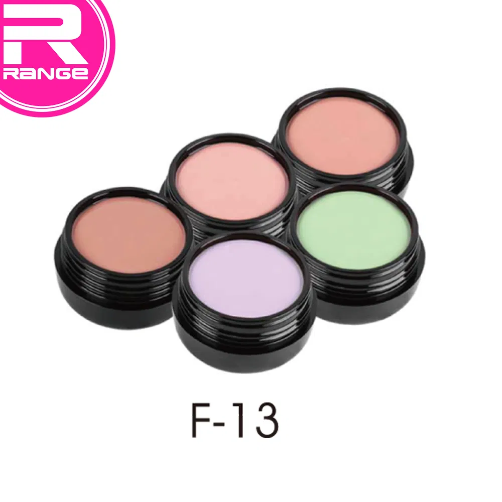 Professional Full Coverage Corrective Concealer Makeup Foundation Cream