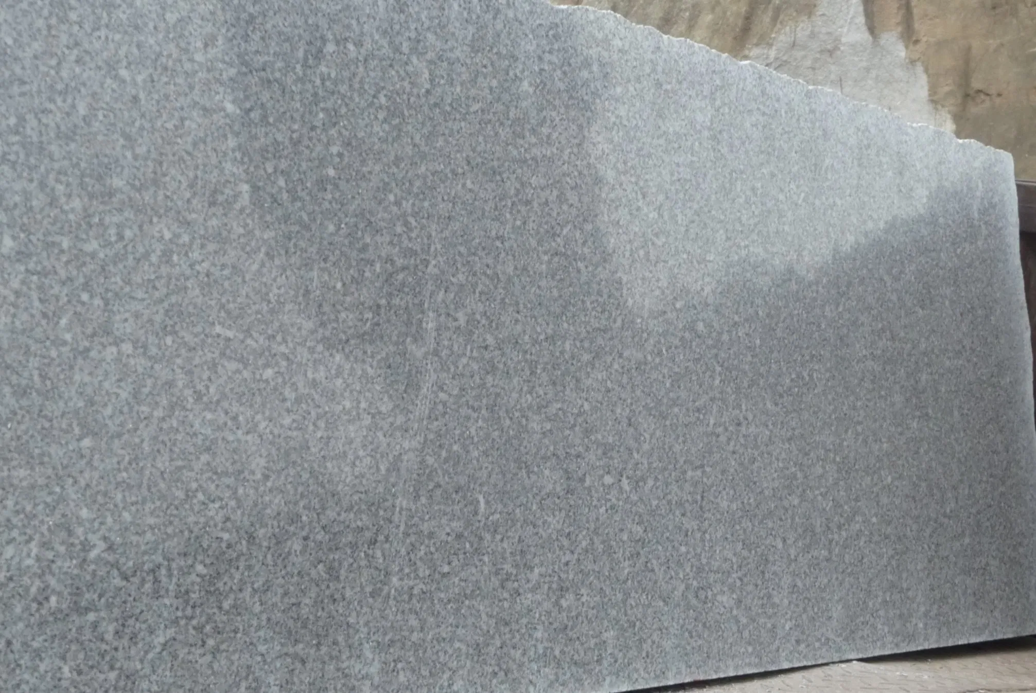 Natural Stone Light Grey Granite for Tile/Slab Wall/Floor/Cladding/Paving/Cube/ Steps/Risers