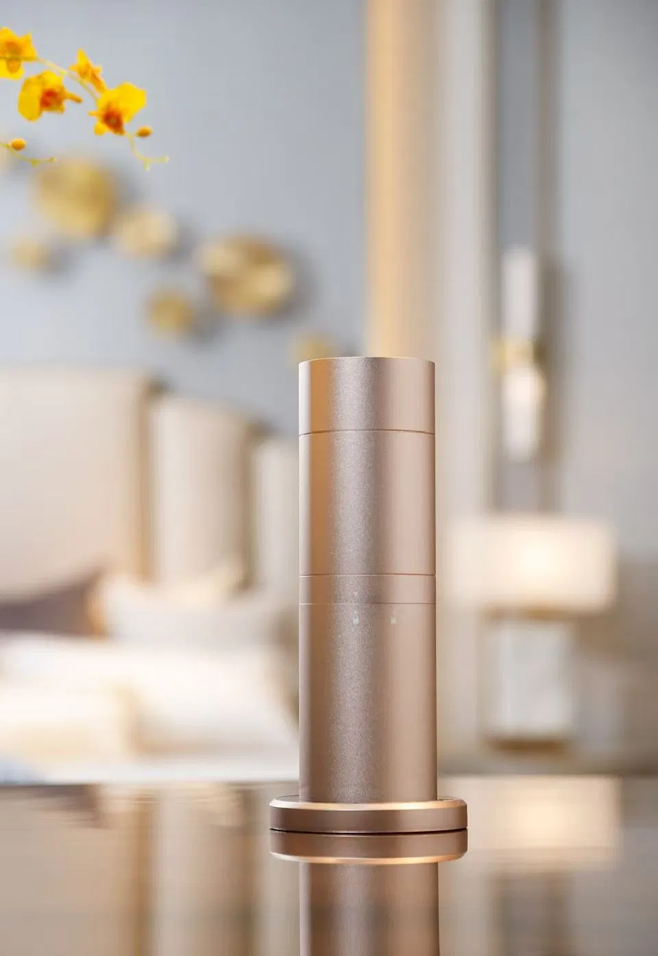 Silent & Waterless Smart Oil Scent Diffuser Machine Home Essential Aroma Diffuser with for Bluetooth Remote Control No Leak Feat