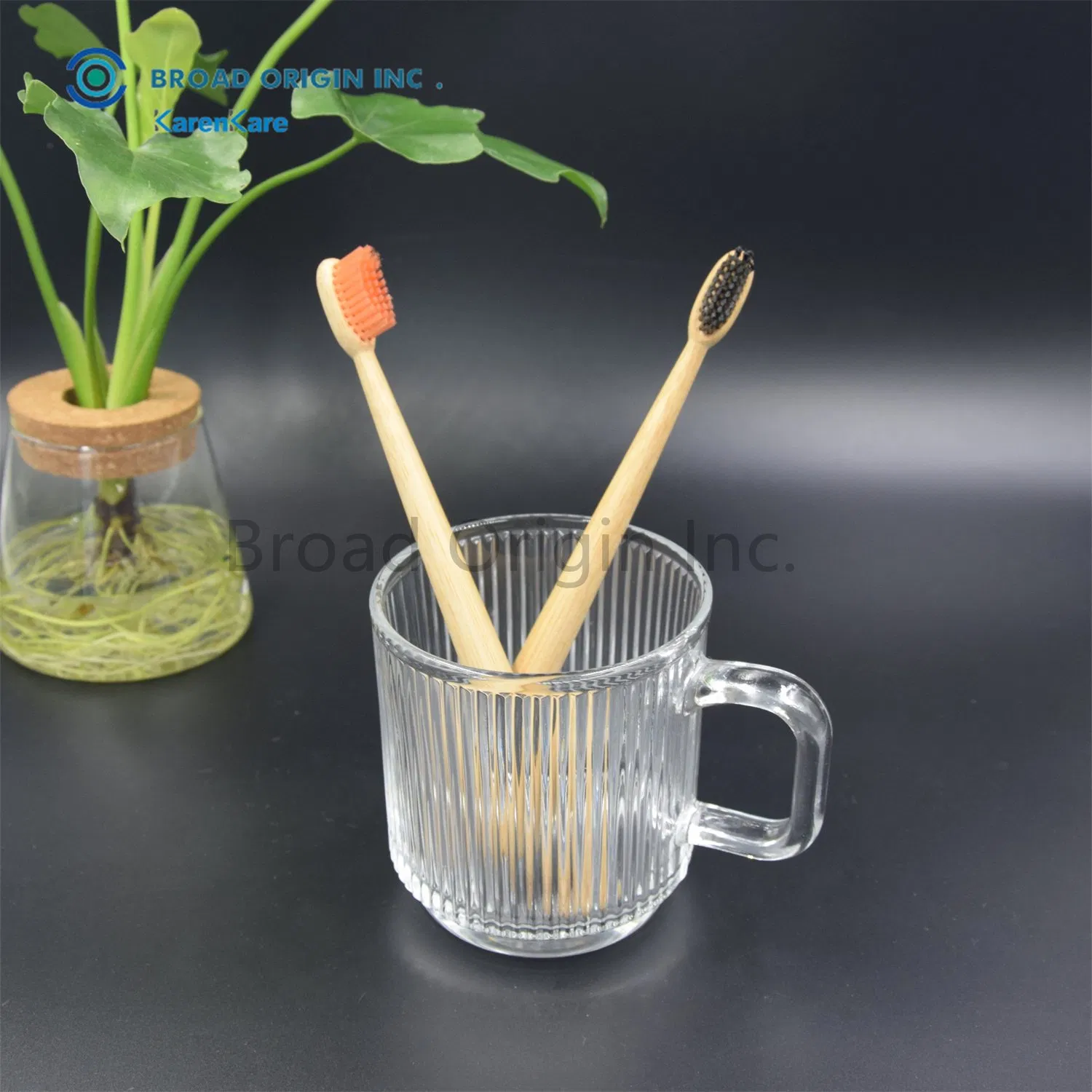 Wooden Handle Bamboo Tooth Brushes Family Pack Wholesale Eco Bamboo Toothbrush