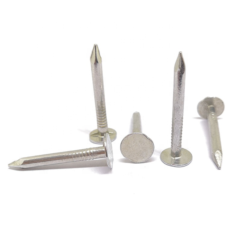 Construction Building Galvanized Plain Common Steel Nails
