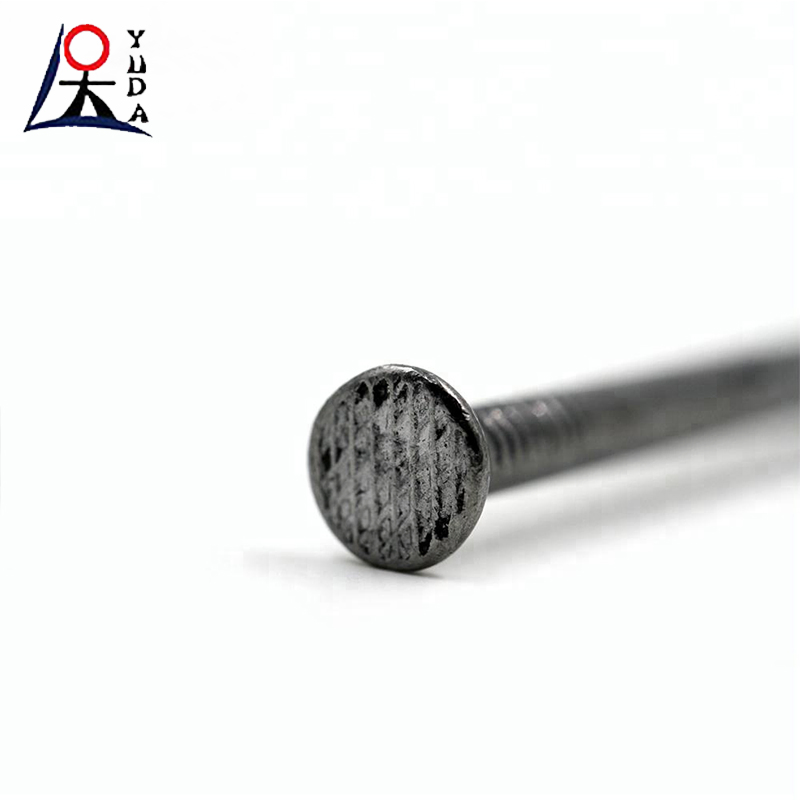 Galvanized Pure Iron Wire Nails Round Head Building Nails