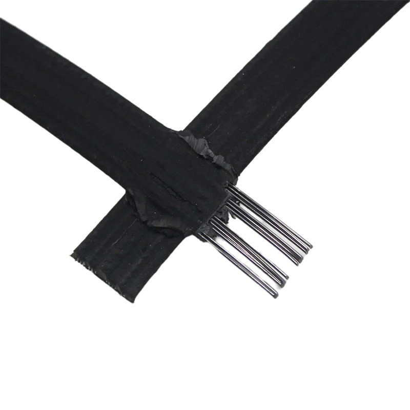 Retaining Wall Steel-Plastic Composite Geogrid