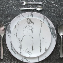 Premium Plastic Plates Combo: Large Dinner & Salad Plates