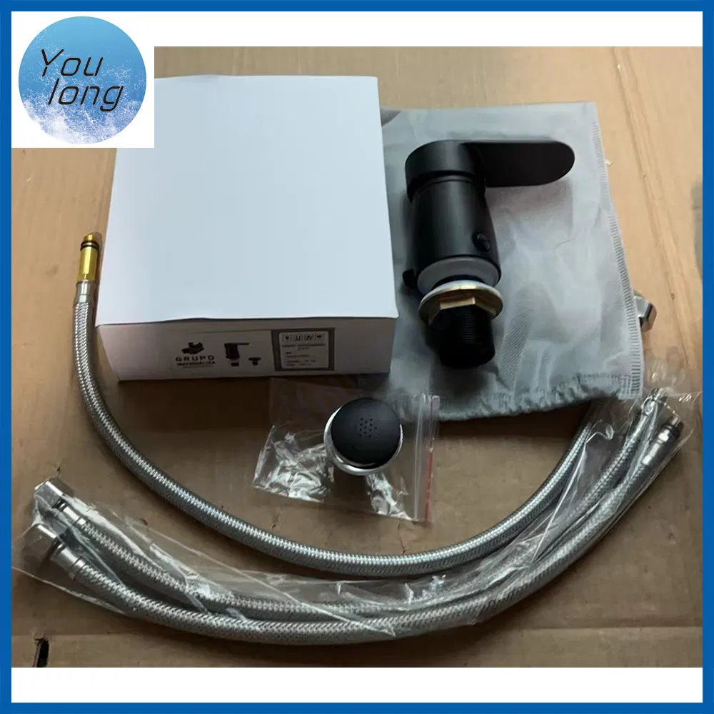 Black Bidet Mixer Two Functions Bidet Set for Bathroom Zinc Faucet