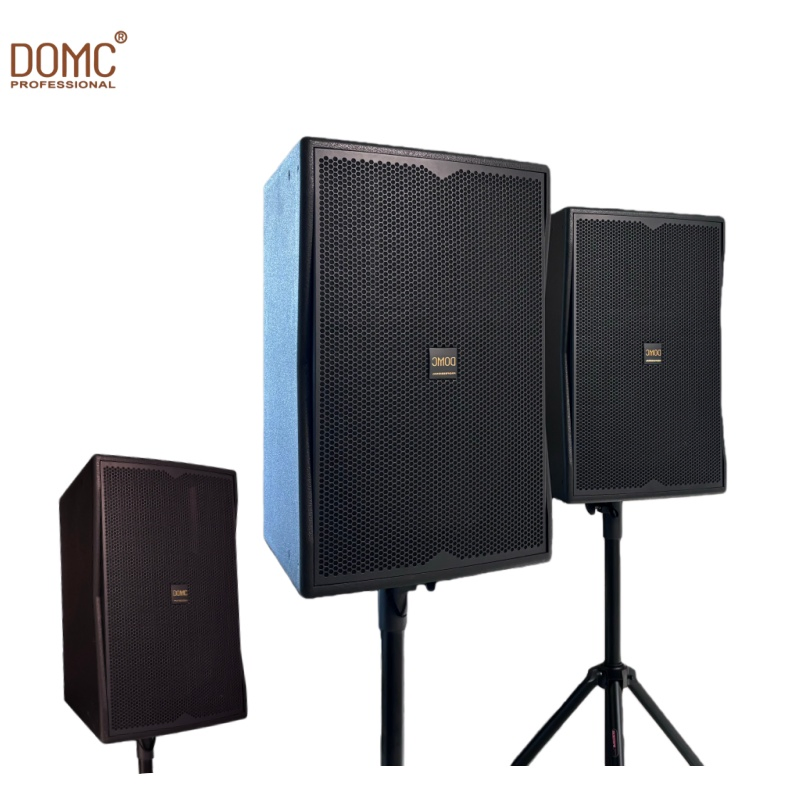 Premium Domc K210 10-Inch Speaker with 1200W Peak Power