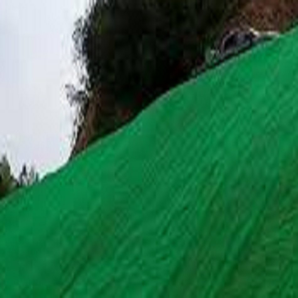 Eco-Friendly Geomat for Soil Stabilization