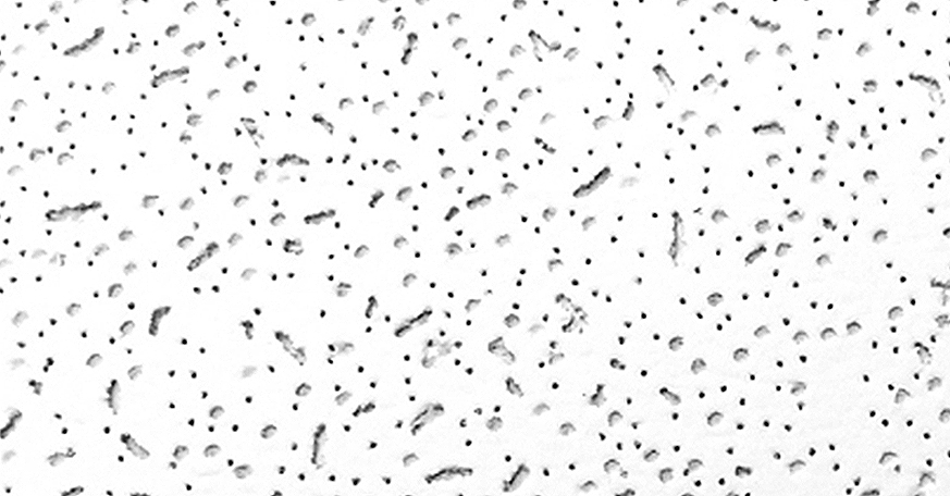 AG. Acoustic Decorative Material Sound Proof Wall Panel Acoustic Mineral Wool Ceiling Tiles for School