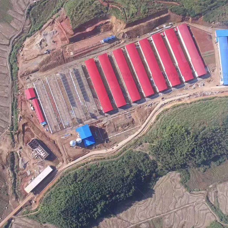 Steel Structural Building Chicken House H Section Steel Beams Breeding Poultry House Structural Steel Workshop