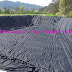 HDPE Tarpaulin for Pond Liner, Swimming Pool /Basement Waterproofing Materials