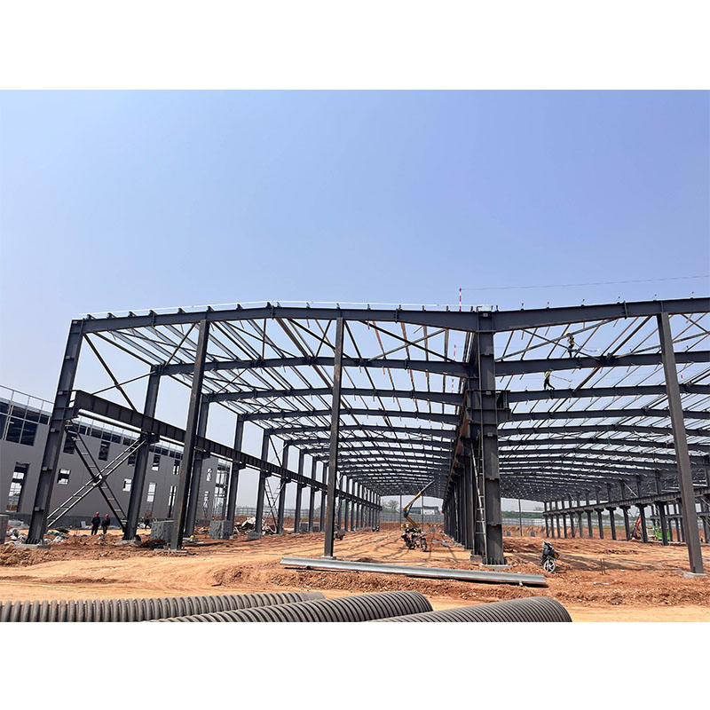 Corrosion-Resistant Steel Structures Factory Building for Harsh Chemical Production Environments
