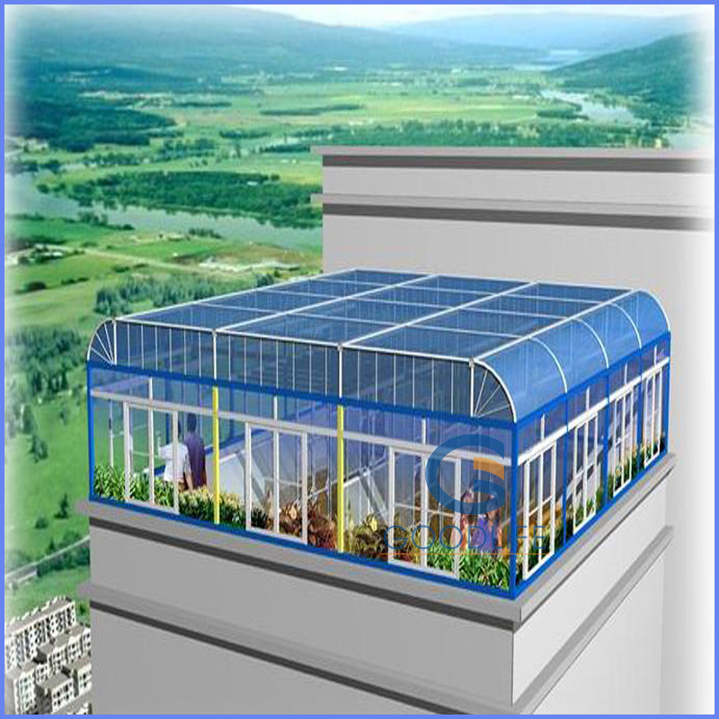 10 Years Guarantee Durable Polycarbonate Hollow Sheet for Home