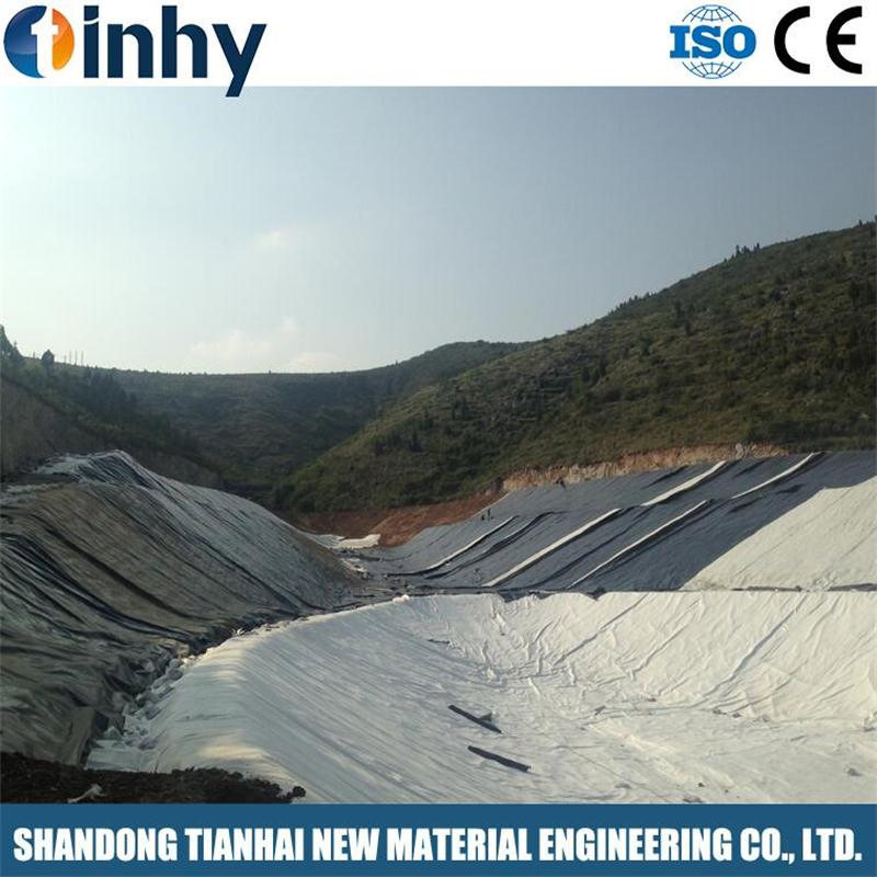 Gcl Sodium Bentonite 6000G/M2 with Best Strength and Good Price