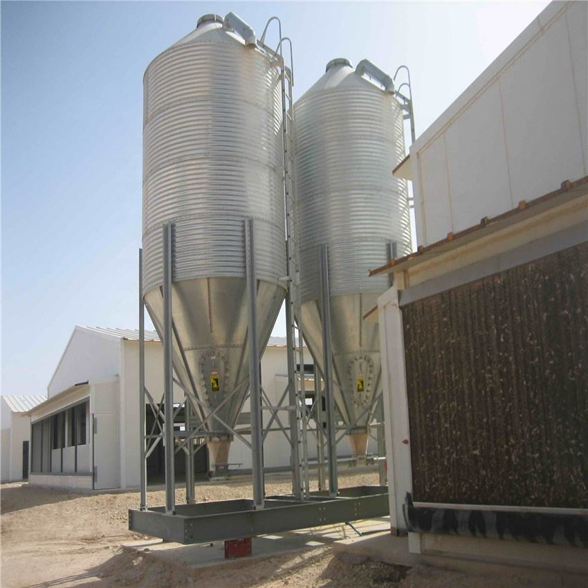 Portable Chicken Portable House Price Prefabricated Shed Steel Poultry Farm Construction