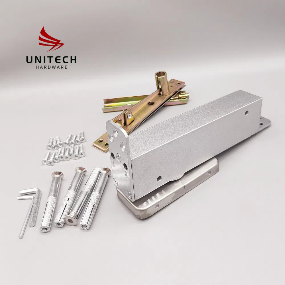 No Digging Door Closer Hydraulic Wooden Door Patch Fitting Floor Spring Hinge