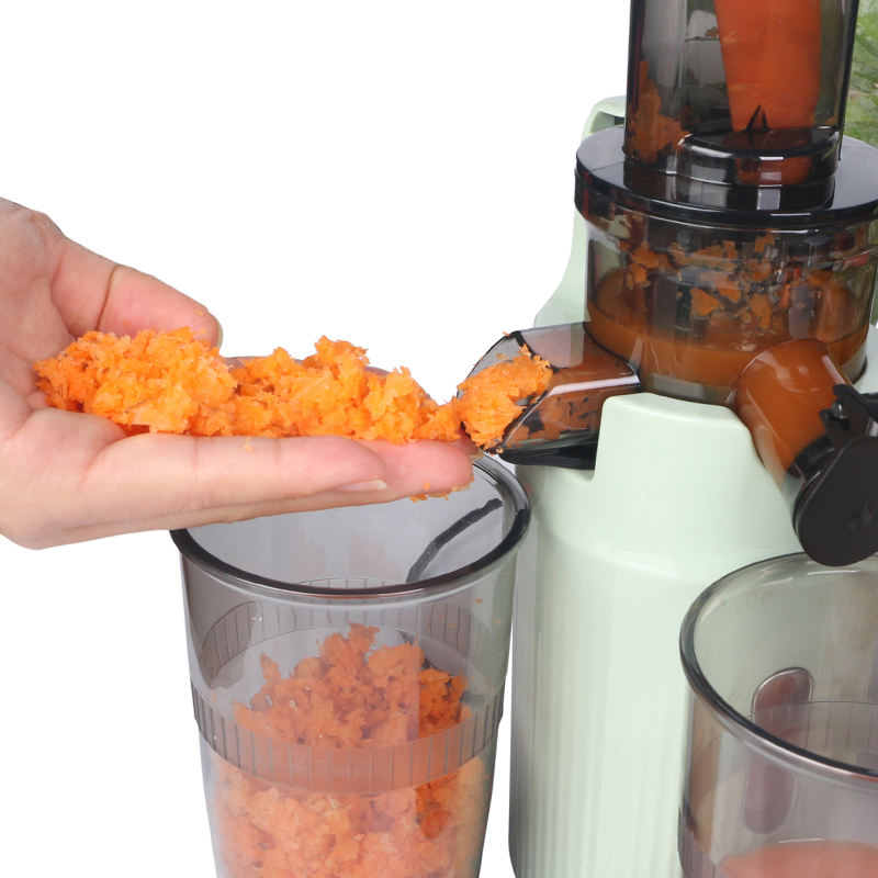 Slow Juicer Fruit and Vegetable Juicer