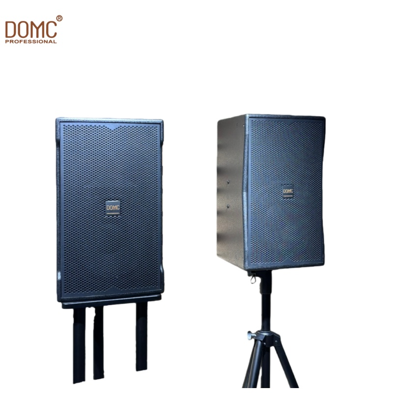 Domc K210 10-Inch Speaker with Robust 300W AES Power