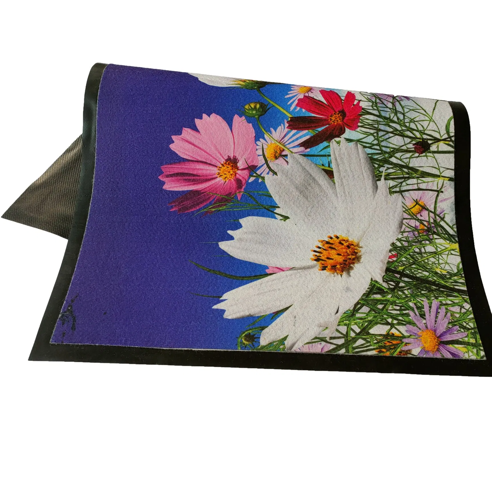 3D Digital Printing Pattern Kitchen Bathroom Anti-Slip Entrance Door Mat