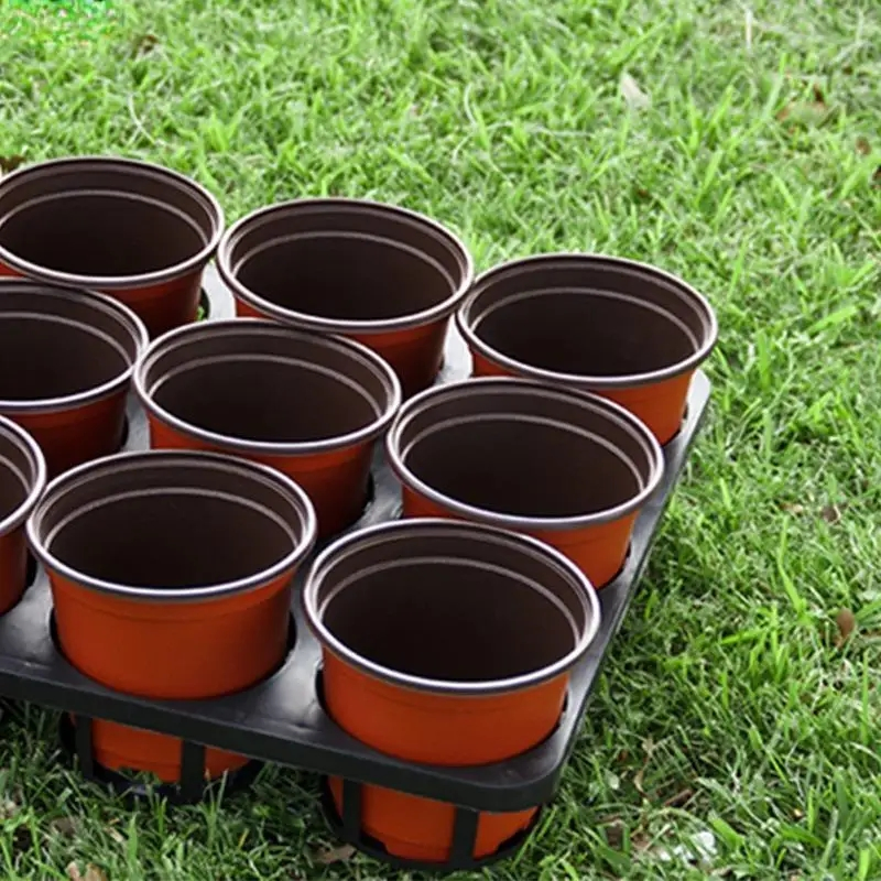 Growing Seedling Hole Tray Phalaenopsis Tray 12-Hole Flower Seedling Pot Bracket