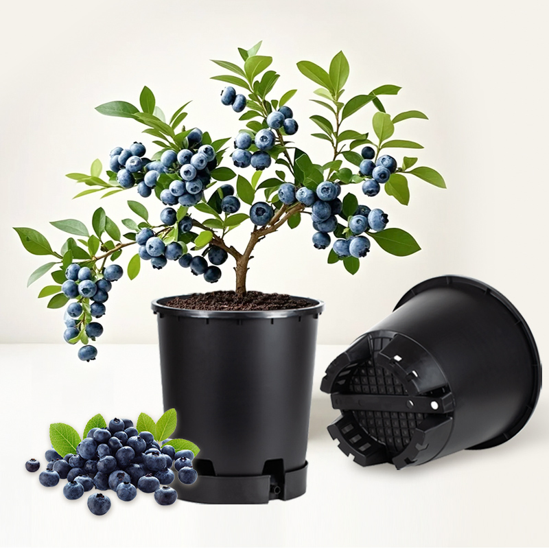 Industry Leading Plastic Blueberry Flower Pot for Garden Seedling Cultivation