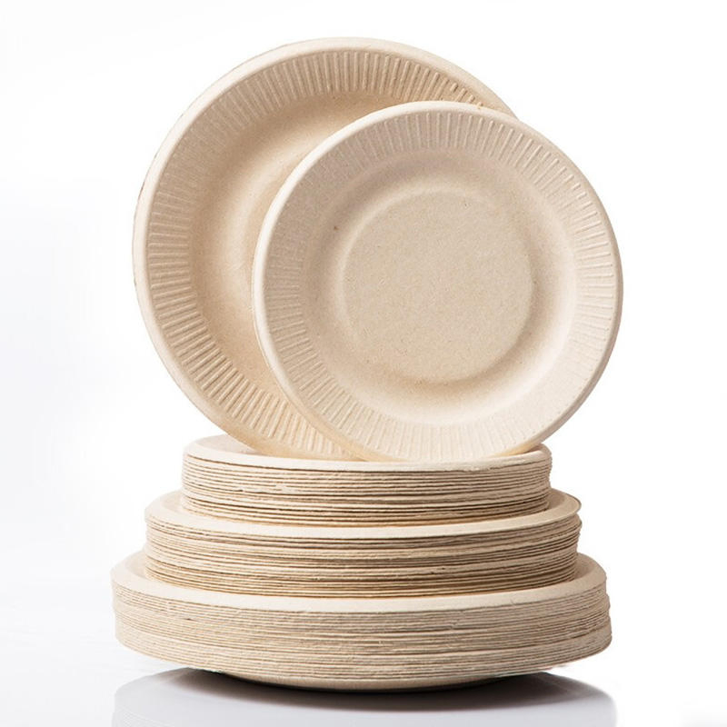 Round 10-Inch Bagasse Plate Sugarcane Container for Buffet Service with Raised Rim