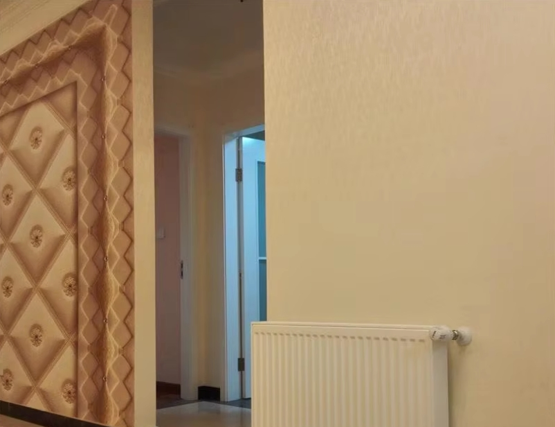 China Factory Supply Horizontal Bedroom Heating Steel Radiators Flat Plate Vertical Radiators