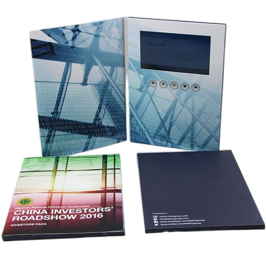 2025 Latest 10.1-Inch IPS LCD Display Video Card