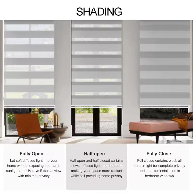 Double Layer Fabric Electric Smart Window Blinds Zebra Blind Smart Curtain Window Shading for Villa Apartment School Hotel Office