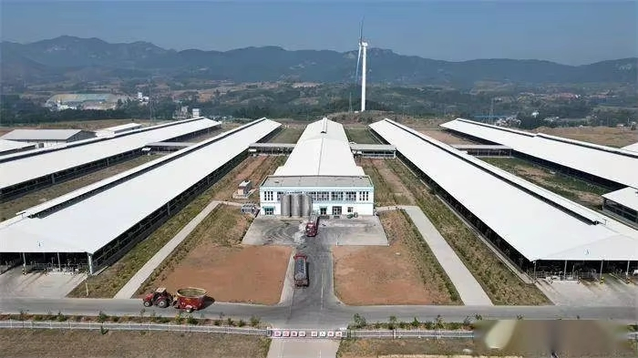 Prefab Steel Structure Poultry Farm Automatic Breeding Chicken Layer Battery Cage Light Cow Cattle Pig Barn Shed Welding Cutting